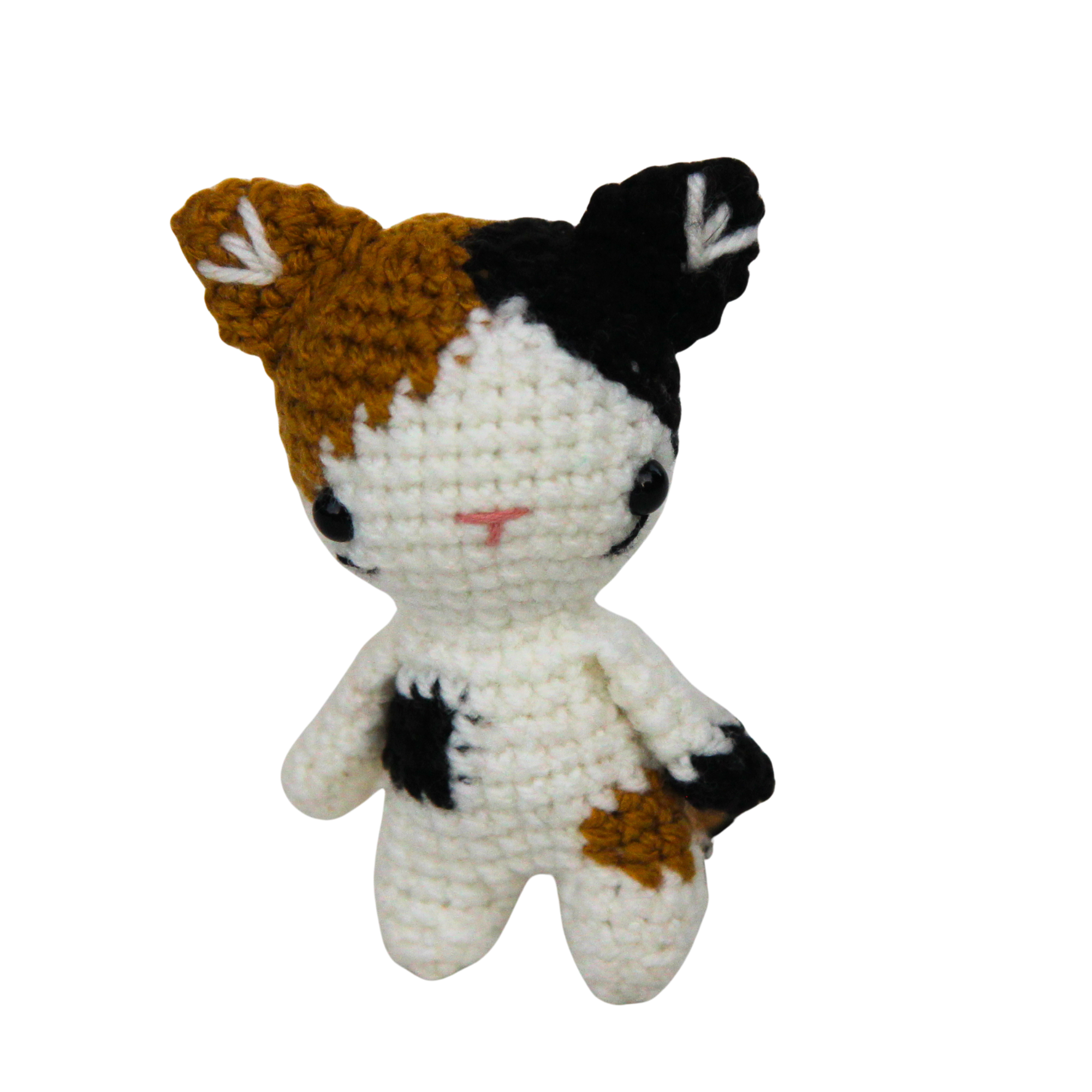 Kozu Cat